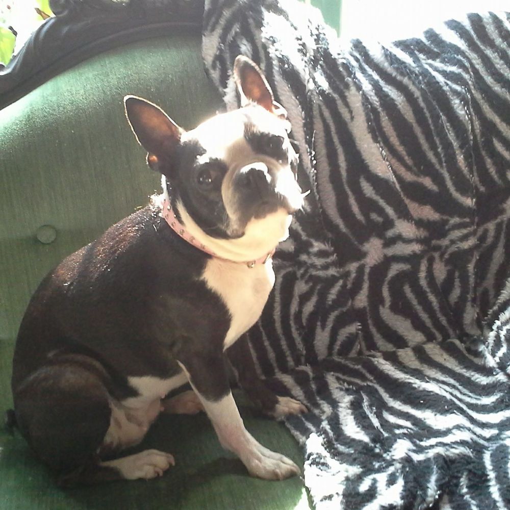 Meet your Posher, Cecelia